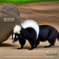 Skunk image 1